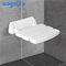 Dimensione fissata al muro bianca di Seat 32.5*32.5*10cm della doccia della stazione termale per il bagno/balcone fornitore
